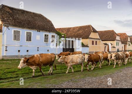 Viscri, charming Saxon village in Transylvania, Romania Stock Photo