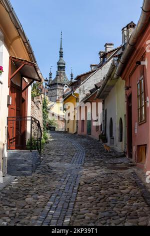 Walking through the Sighisoara Old Town streets, Transylvania, Romania Stock Photo