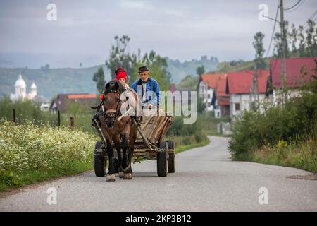 Farmers horse cart in Leud village, Transylvania, Romania Stock Photo