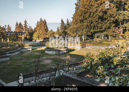 View of University of British Columbia(UBC) Rose Garden at sunny day with mountains in the background, Vancouver, Canada Stock Photo