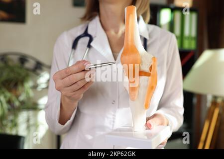 Doctor traumatologist showing ligaments and muscles on artificial model of human knee joint closeup Stock Photo