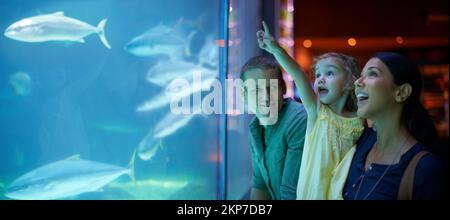 Shes focused on those fish. a little girl on an outing to the aquarium. Stock Photo