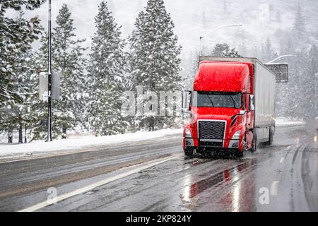 Red big rig commercial semi truck transporting cargo in dry van semi trailer running on the wet turning road with winter forest at snowing weather dur Stock Photo