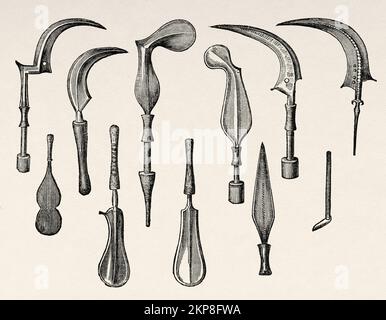 Traditional weapons of the indigenous Mombuttu people, Democratic Republic of the Congo. Africa. Heart of Africa Three years travels and adventures in the unexplored regions of Central Africa by Georg August Schweinfurth, 1868-1871 Stock Photo