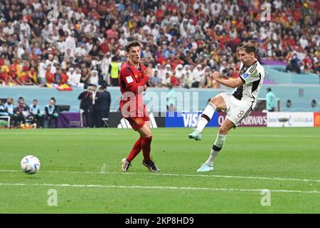 AL KHOR, 27-11-2022, Al Bayt Stadium, World Cup 2022 in Qatar, game between  Spain vs Germany, supporter of Brasil (Photo by Pro Shots/Sipa USA Stock  Photo - Alamy