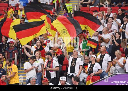 German fans, football fans wave their flags, flags Spain (ESP) - Germany (GER) 1-1, group phase Group E, 2nd matchday, on November 27th, 2022, Al-Bayt Stadium in Al-Khor Soccer World Cup 2022 in Qatar from 20.11. - 18.12.2022 ? Stock Photo