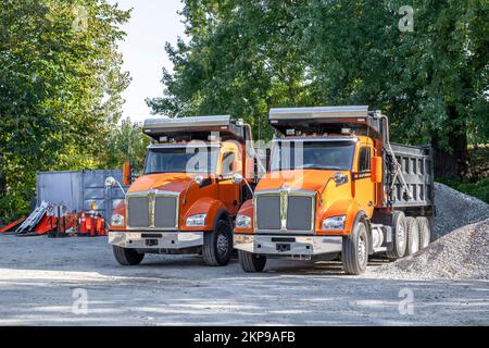 Two powerful heavy duty orange professional tipper trucks standing on the parking lot on the construction side waiting for working time Stock Photo
