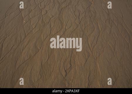 Pattern on wet sandy beach. texture of sand. Stock Photo