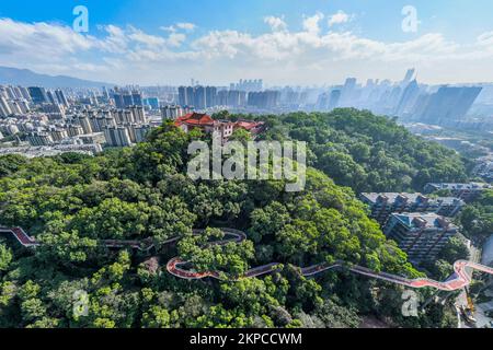 FUZHOU, CHINA - NOVEMBER 28, 2022 - A view of the Jasmine ecological corridor in Jinji Mountain Park in Fuzhou, Fujian province, China, Nov 28, 2022. Stock Photo