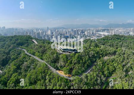 FUZHOU, CHINA - NOVEMBER 28, 2022 - A view of the Jasmine ecological corridor in Jinji Mountain Park in Fuzhou, Fujian province, China, Nov 28, 2022. Stock Photo