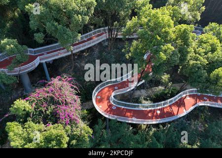 FUZHOU, CHINA - NOVEMBER 28, 2022 - A view of the Jasmine ecological corridor in Jinji Mountain Park in Fuzhou, Fujian province, China, Nov 28, 2022. Stock Photo