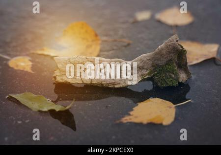 Ecology concept. On the asphalt among the foliage, in a puddle, there is a branch on which it is written - Organic Stock Photo