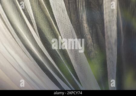 Close-up of a white and wrinkled mesh curtain in the window Stock Photo