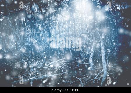 Ice cold frosty landscape taken deep inside a mystery forest with particles of light and snow protruding from the treetop canopy. Woodland wonderland Stock Photo