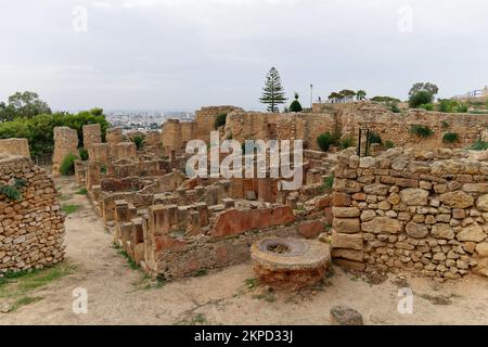 View of the historical landmark Byrsa Hill in Carthage , Tunisia. Unesco World Heritage Site. Archaeological Site of Carthage. Place of history. Stock Photo