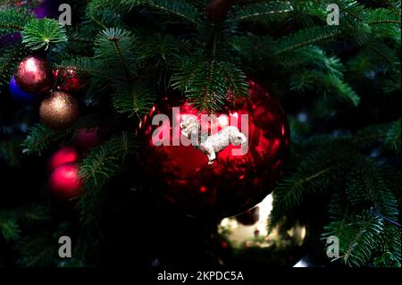 London, UK. 28th Nov, 2022. A festive Christmas tree outside Number 10 Downing street. Credit: claire doherty/Alamy Live News Stock Photo