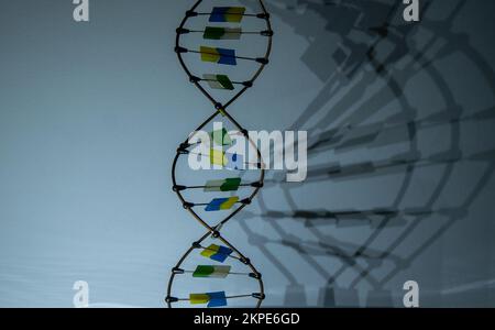 The sculpture of the DNA molecule spins and casts a shadow. Video in the dark. Deoxyribonucleic acid layout. Gene. Polygonal wireframe DNA helix spiral. Stock Photo