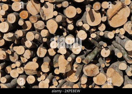 Wood logs cut ready for sale Stock Photo