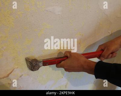 work with a narrow scraper with a long red handle to clean the wall from wallpaper residues and glue, cleaning the wall surface before wallpapering Stock Photo