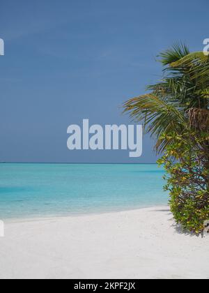 View from a white sandy beach in the Maldives looking out at the sparkling turquoise Indian Ocean with a palm tree on the right of the image Stock Photo