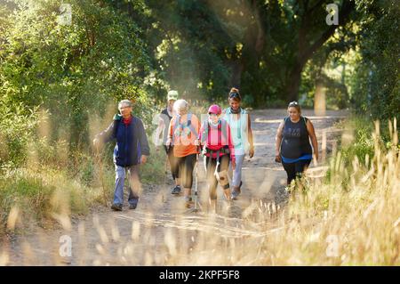 Nature, walking and senior group hiking in forest for exercise, health and wellness with cardio outdoor workout. Fitness, healthy and elderly friends Stock Photo