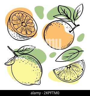 ORANGE LEMON Delicious Tropical Fruit Whole And Slices With Leaves For Design Of Organic Natural Products Shop And Dessert Drinks Sketch Vector Illust Stock Vector