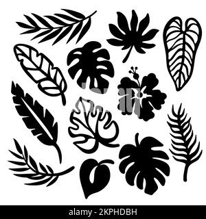 TROPIC LEAVES Monochrome Collection Leaves Of Exotic Plants Carved Openwork Contours For Print And Plotter Cutting Cliparts Vector illustration Set Stock Vector