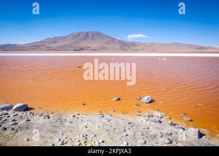 Laguna Colorada (Red Lagoon) in Eduardo Avaroa Andean Fauna National Reserve, Sud Lipez Province, Bolivia Stock Photo