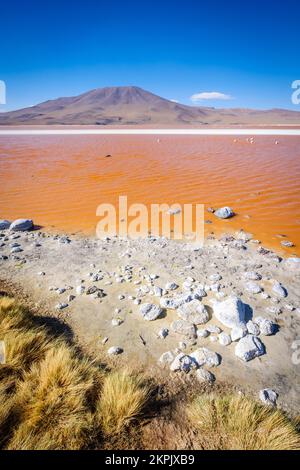 Laguna Colorada (Red Lagoon) in Eduardo Avaroa Andean Fauna National Reserve, Sud Lipez Province, Bolivia Stock Photo