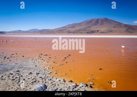 Laguna Colorada (Red Lagoon) in Eduardo Avaroa Andean Fauna National Reserve, Sud Lipez Province, Bolivia Stock Photo