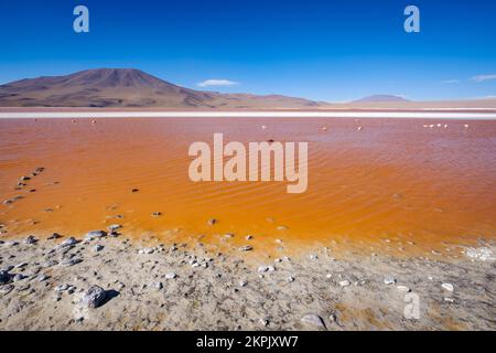 Laguna Colorada (Red Lagoon) in Eduardo Avaroa Andean Fauna National Reserve, Sud Lipez Province, Bolivia Stock Photo