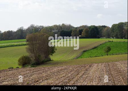 Green hills and meadows at the Flemish countryside in autumn, Asse, Belgium Stock Photo