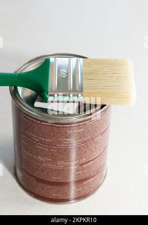 Repair tool, a thick new paint brush with varnish and paint, lies on a can of varnish Stock Photo