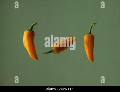 Three chillies floating and isolated on a green background. Stock Photo