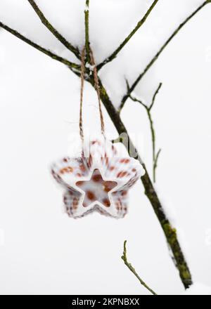 Star shaped homemade little birdseed cake made from peanut nuts and coconut fat hanging in the snowy garden. Help people to animals. Stock Photo