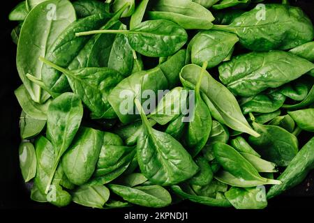 Fresh green baby spinach leaves close up. Stock Photo