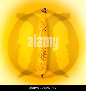 Perception and perspective can be seen as a preferential view of being straight up bananas based on ones point of view. Could there be a theoretical t