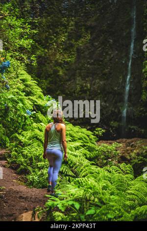 Description: Sporty woman marvels at an impressive waterfall in the jungle with beautiful flowers and ferns. Levada of Caldeirão Verde, Madeira Island Stock Photo