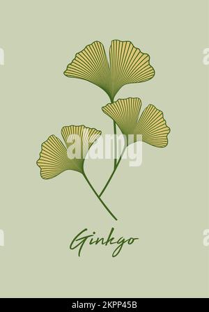 Set Ginkgo biloba leaf isolated on green background. Hand drawn leaves. Logo design vector botanical illustration Stock Vector