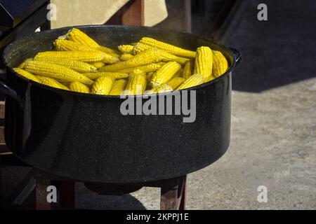 Process of cooking fresh mature corn. Sale of freshly boiled hot corn at fair. Natural yellow background. Close-up. Selective focus. Stock Photo