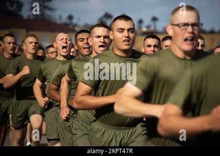 New U.S. Marines with Delta Company, 1st Recruit Training Battalion, run in formation during a motivational run at Marine Corps Recruit Depot (MCRD) San Diego, Nov. 3, 2022. The motivational run was the last physical training Marines conducted while at MCRD. Stock Photo