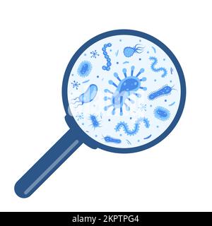 Different bacteria, pathogenic microorganisms under a magnifying glass. Bacteria and germ, microorganisms disease-causing, bacteria, bacteria, viruses Stock Vector