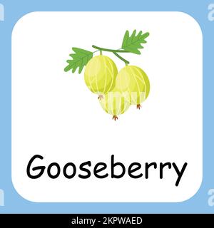 Gooseberry Clip art with text, Flat design. Education for kids. Vector Illustration Stock Vector