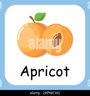 Apricot Clip Art, Illustration for Kids, cartoon fruit illustration Stock Vector