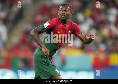 Rafael Leão celebrating during the FIFA World Cup Qatar 2022 Group H match  between Portugal and Ghana at Stadium 974 on November 24, 2022 in Doha,  Qatar. (Photo by Clive Brunskill/Getty Images)