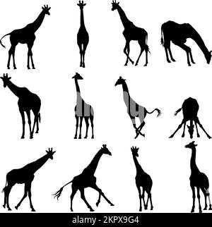 Set of giraffe silhouette in different poses cartoon animal design flat vector illustration isolated on white background Stock Vector