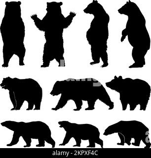 Vector silhouette bear, various bear silhouettes on the white background, Brown grizzly bear and polar bear silhouette set Stock Vector