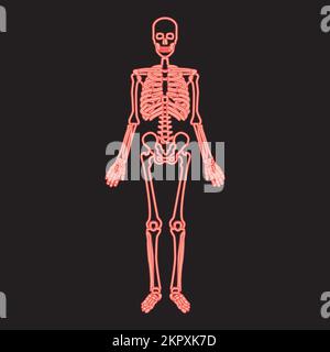 Neon human skeleton red color vector illustration image flat style light Stock Vector