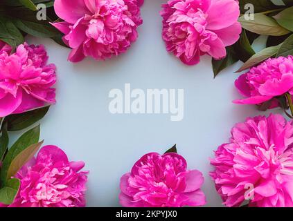 Flowers composition. Frame made of pink flowers peonies on blue background Stock Photo