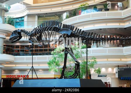 A skeleton of a T Rex dinosaur stands in the atrium of the Atlanta International Airport Stock Photo